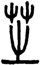 芝,說文解字 ,書法字典
